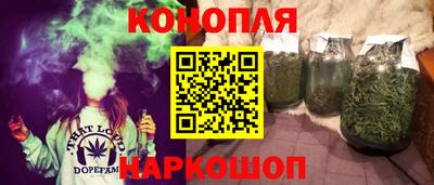 Альфа ПВП Кингисепп