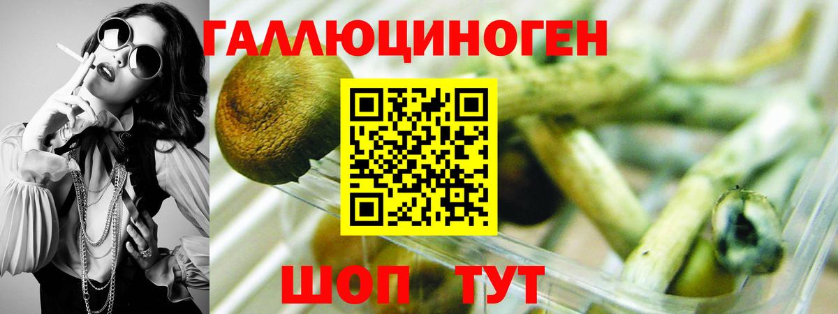 Кропоткин  Псилоцибиновые грибы мицелий  Вход с VPN 